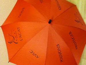Après les "parapluies de Cherbourg", voici un modèle des "parapluies de Strasbourg" réalisés par Annette !