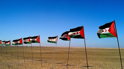sahara_occidental_drapeaux